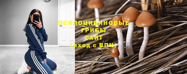 первитин Бородино